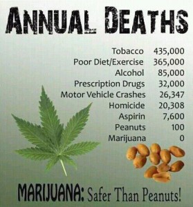 alkohol vs. marijuana 3